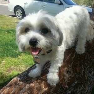 Meet your Posher, Sergio